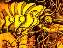 Ammonites Detail